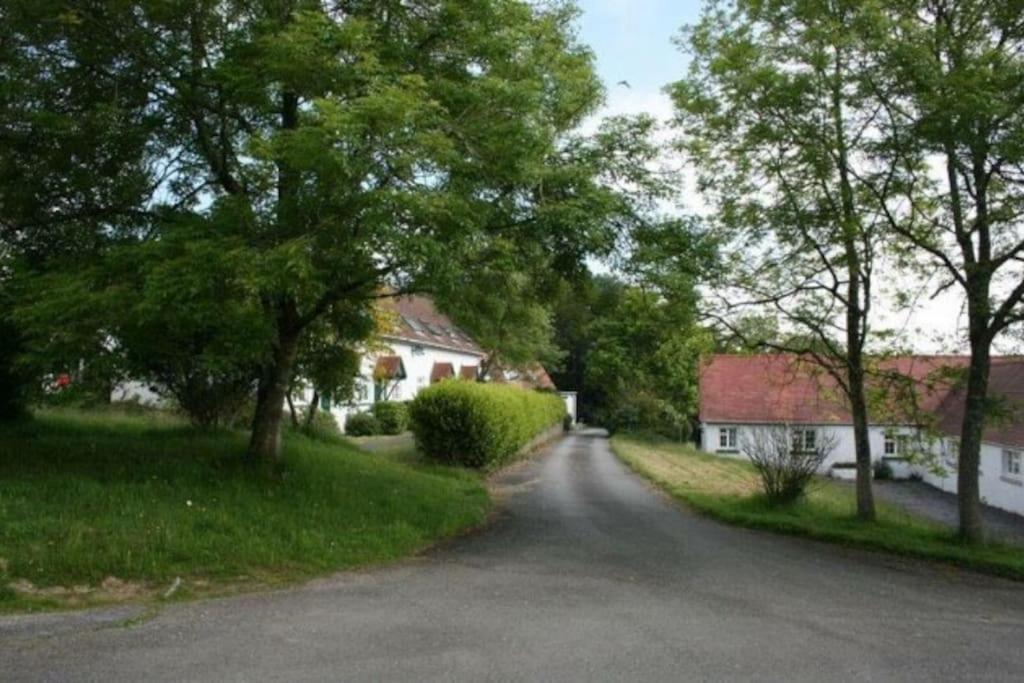 Bramble Cottage - Sleeps 5 With Free Wifi Cardigan Exterior foto